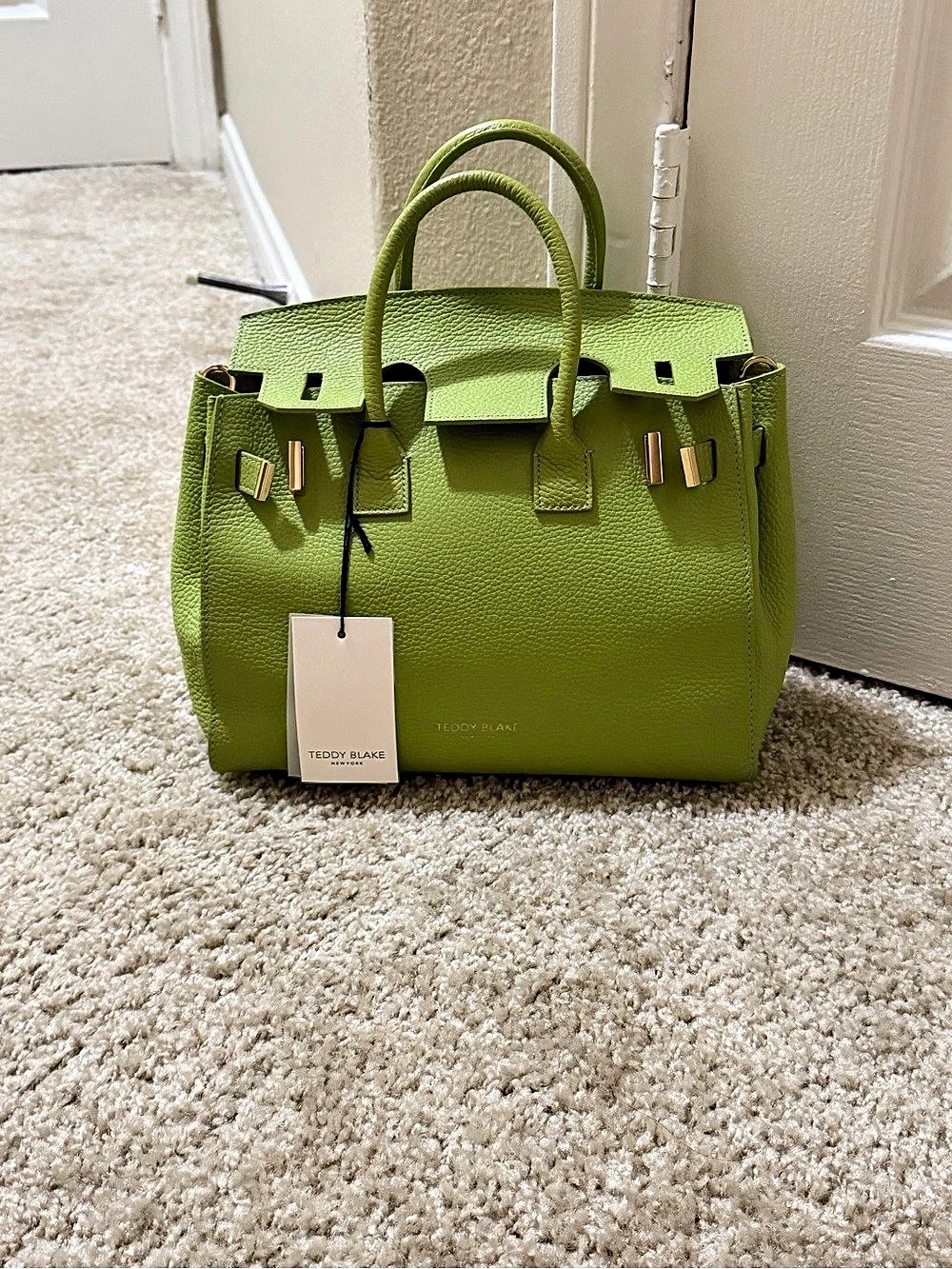 Teddy Blake Kim Stampato 9" Green Satchel